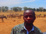 Водитель в Кении каждый день привозит воду диким животным