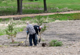 На Ореховой горке во время субботника посадили 200 деревьев