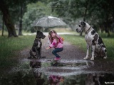 Милые снимки детей и собак