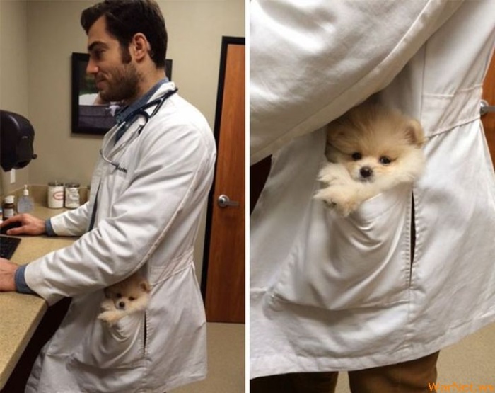 Ветеринар, который действительно любит свою работу