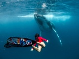 Невероятные кадры: фридайвер плавает с огромными китами