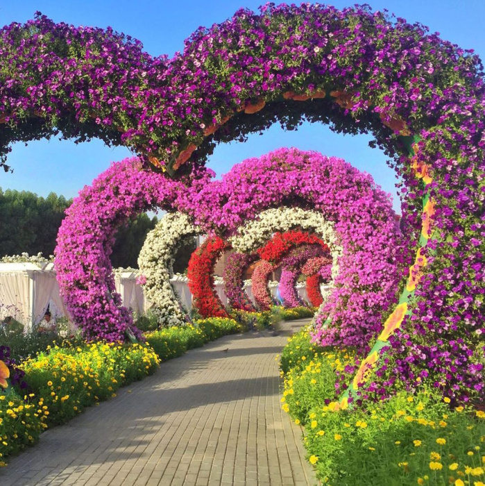 Парк Dubai Miracle Garden – цветущий оазис в пустыне 