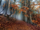 Осенняя природа на снимках Сергея Полюшко