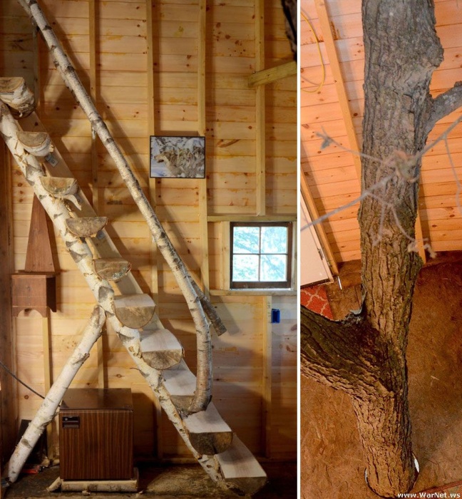 Дед построил для внуков эпический трехэтажный дом на дереве