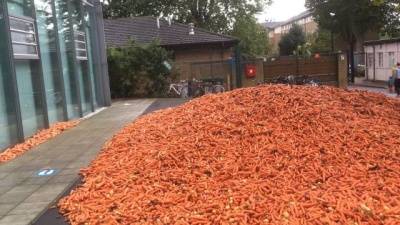 В Лондоне неизвестный человек вывалил 32 тонны моркови перед кампусом Голдсмитского университета