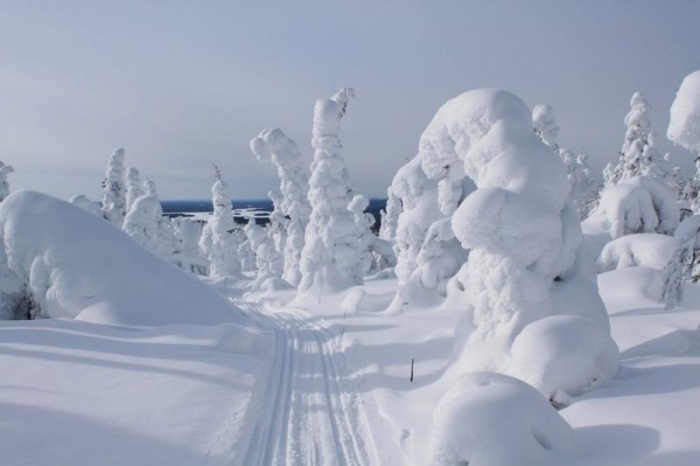 Зимние пейзажи Максима Евдокимова