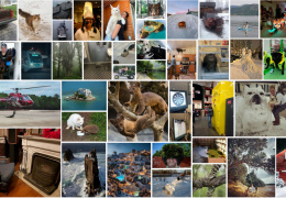 Фотоподборка 