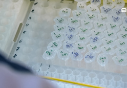 В Нарве и Кохтла-Ярве откроются пункты тестирования на коронавирус 