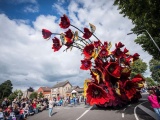 В голландском городе Зюндерт прошел традиционный парад цветов