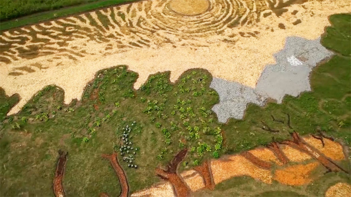 Ландшафтный дизайнер из США превратил поле в репродукцию картины Винсента Ван Гога