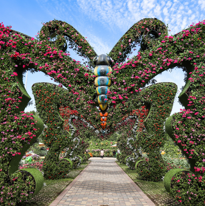 Парк Dubai Miracle Garden – цветущий оазис в пустыне 