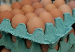 Ветеринарный департамент предупреждает о возможном заражении сальмонеллой куриных яиц 