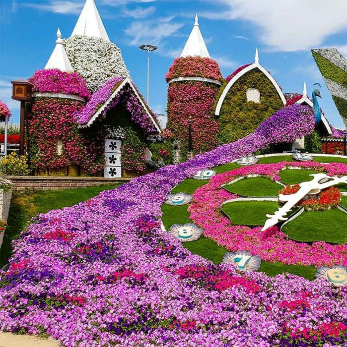 Парк Dubai Miracle Garden – цветущий оазис в пустыне 