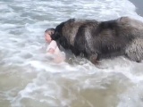 Забавный момент собака тащит внучку своего хозяина из воды
