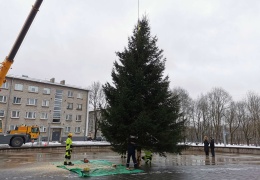 Рождество и Новый год в Нарве: две праздничные ёлки и два салюта