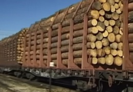 Из Бурятии за три месяца вывезли лес на 47 млн долларов