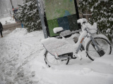 Первый снег в Эстонии стал причиной 50 небольших аварий 