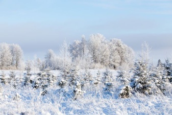 В среду в Эстонии ударят морозы до -25 градусов