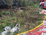 ФОТО и ВИДЕО: лесной пожар в волости Тойла взят под контроль