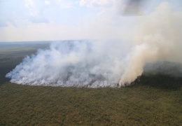 В заповеднике в Йыгевамаа горит 10 гектаров болота 