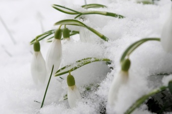 В феврале в Эстонии были обновлены рекорды по температуре и осадкам 