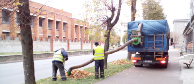 Жители жалуются на шум машины, которая собирает опавшие листья