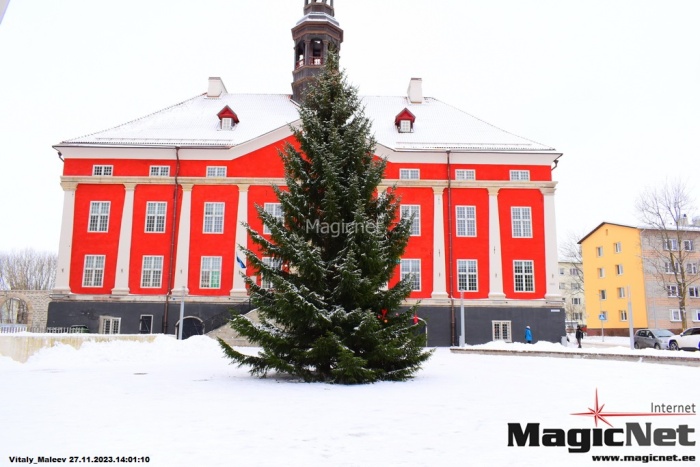ФОТО: в Нарве впервые в истории установили рождественскую ель на Ратушной площади