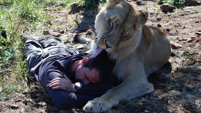  Уникальная дружба человека и льва